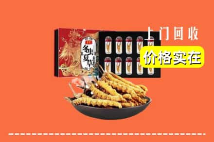 运河区回收虫草